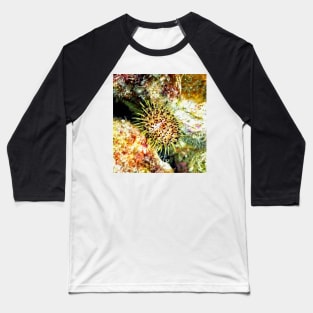 Jewell Sea Urchin on a Coral Reef Baseball T-Shirt